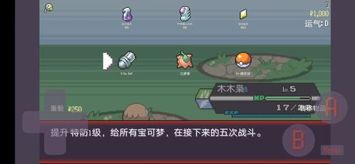 分步指南：  