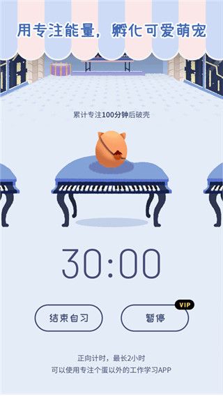 专注崽崽app图3