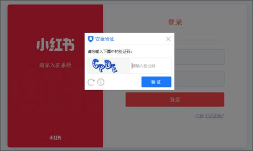 小红书app v9.33.4最新版