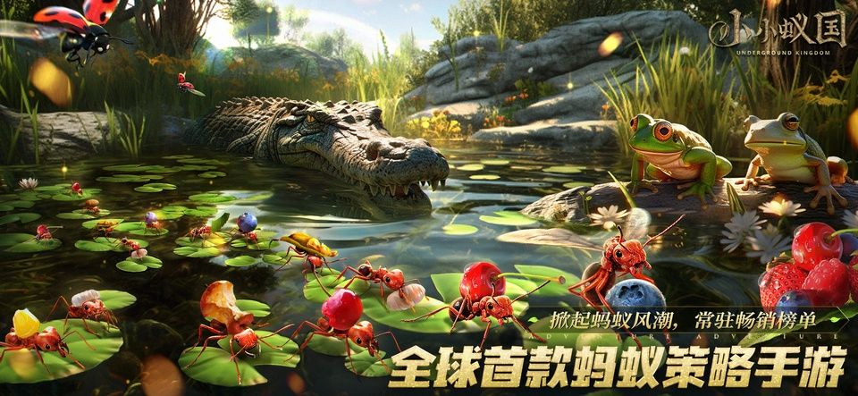 小小蚁国国际服最新版图1