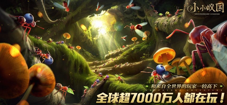 小小蚁国国际服最新版图2