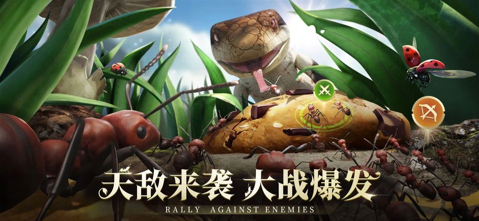小小蚁国国际服最新版图5