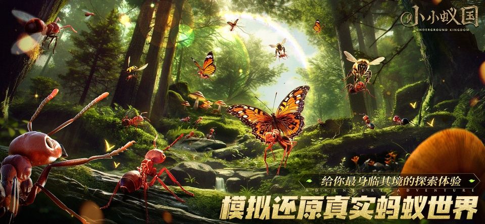 小小蚁国国际服最新版图4