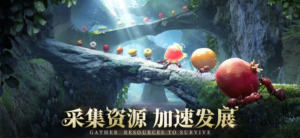 小小蚁国国际服最新版图3