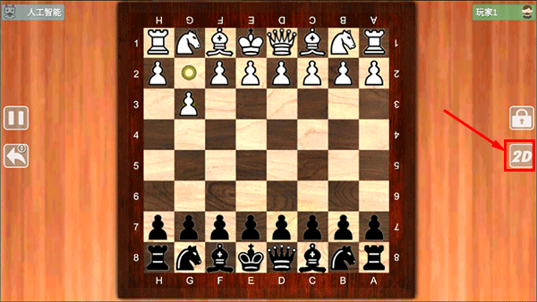 国际象棋大师