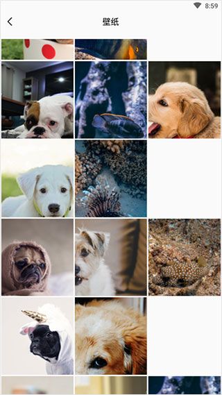 实时相机app