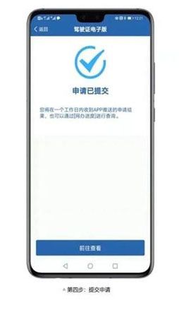 12123电子驾驶证app