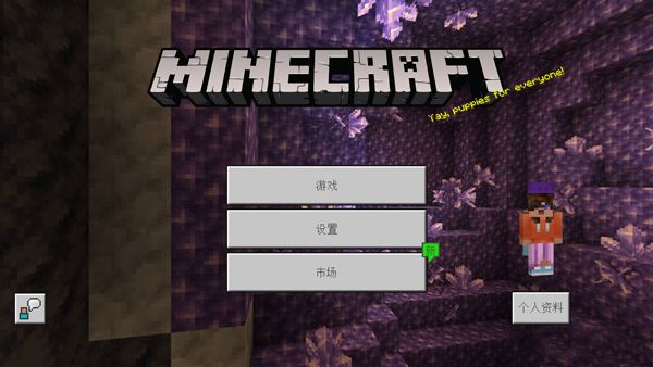 我的世界国际版2026最新版(Minecraft)