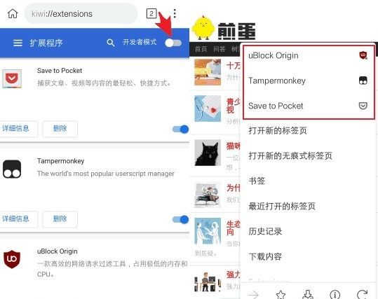kiwibrowser浏览器