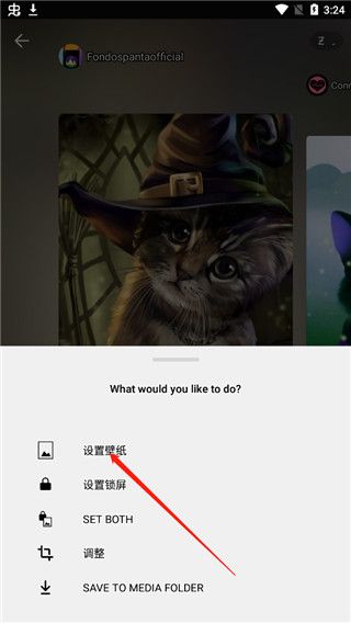 Zedge壁纸官方版